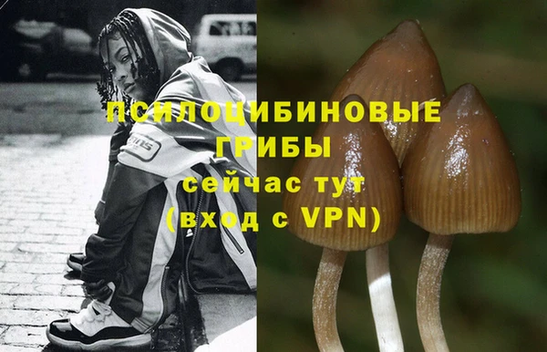 дурь Баксан