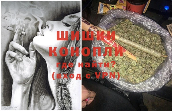 гидра Балахна