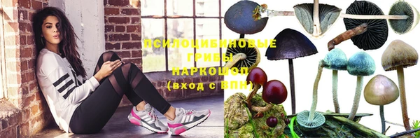 дурь Баксан