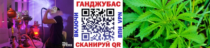 магазин продажи наркотиков  дарк нет как зайти  Шишки марихуана сатива  Шадринск 